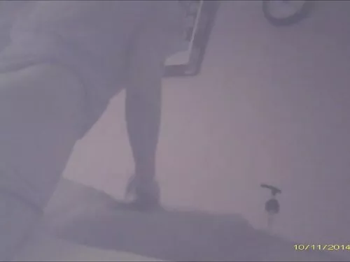 अलेस्सान्ड्रा रिबेरो ...