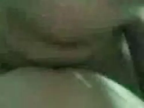 श्यामला सेक्सपोट बेल ...